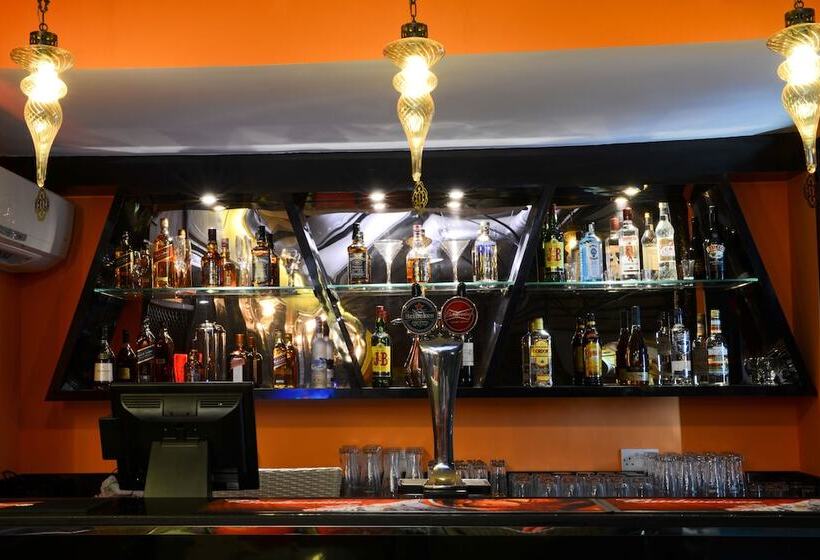 Fotos del hotel Sun And Sands Downtown:  8