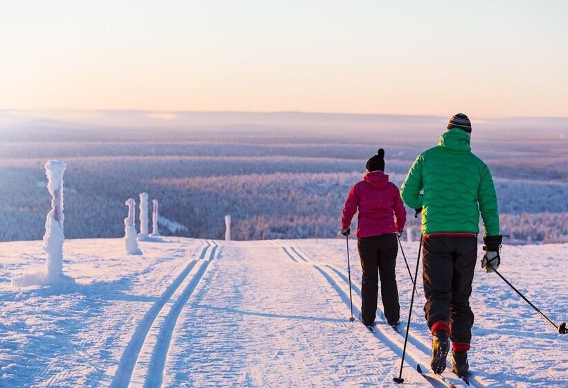Kakslauttanen Arctic Resort   Igloos And Chalets