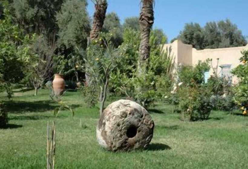 Riad Dar Zitoune Taroudant