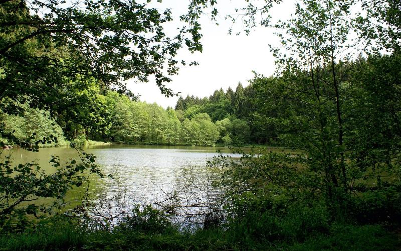 ホテル Naturresort Tannenhof Gmbh