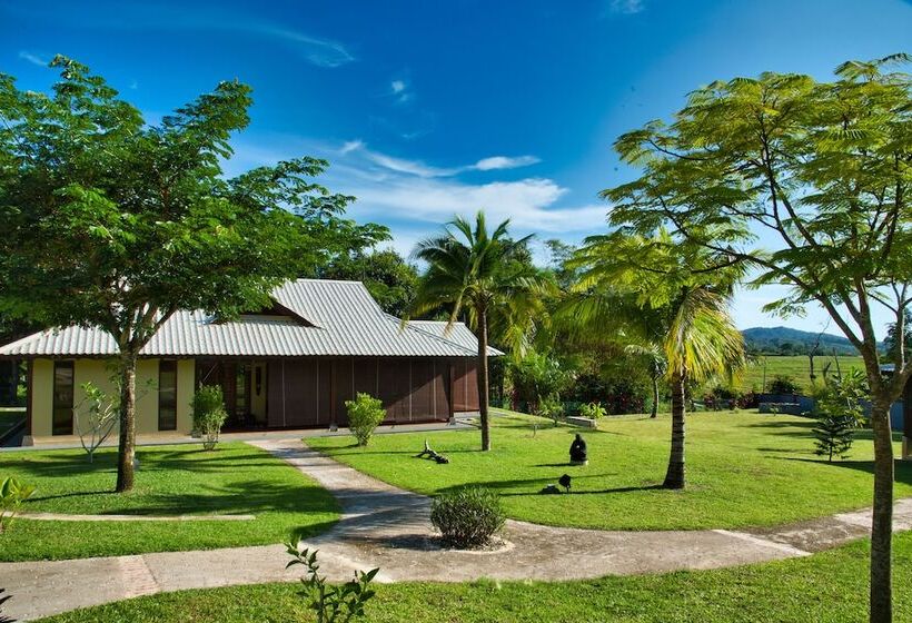 酒店 Villa Kelapa Langkawi