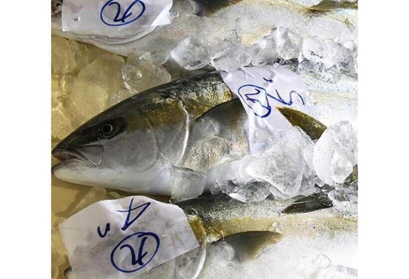 فندق Kokumin Shukusha Noto Ushitsuso