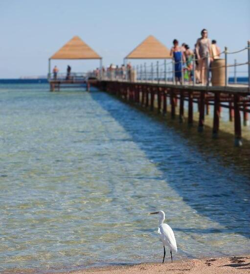 Hôtel Amwaj Oyoun Resort & Spa Sharm El Sheikh 