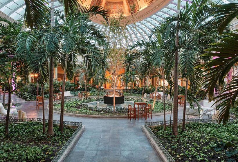 בית מלון כפרי JOIA Paraíso by Iberostar - Adults Only