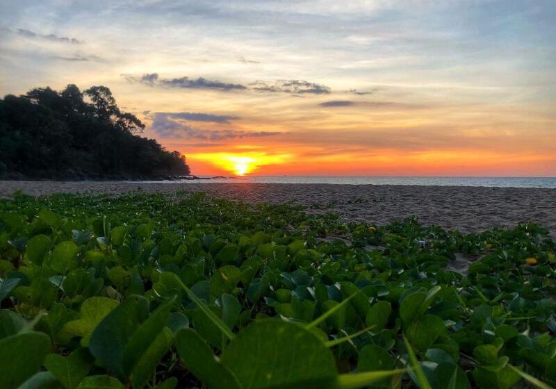 هتل Khaolak Palm Beach Resort