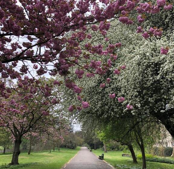 هتل Lancaster Hall