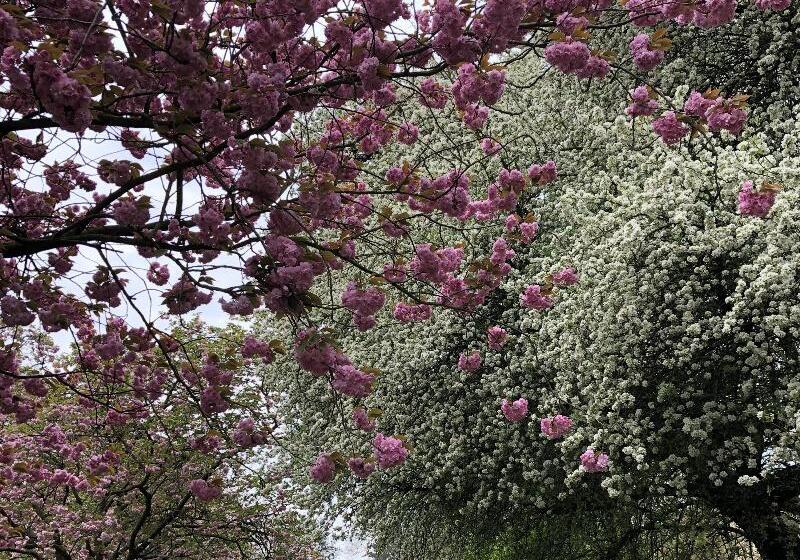 Fotos del hotel Lancaster Hall:  35