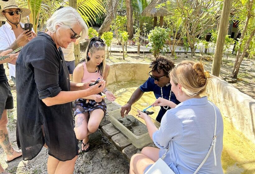 هتل Serenity Island Resort