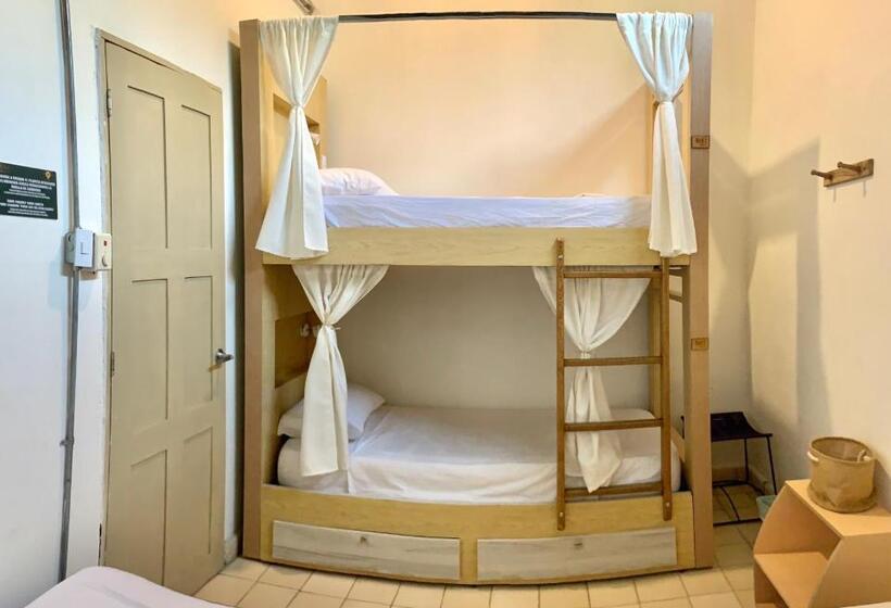 Hostel Boutique Musa Paradisiaca