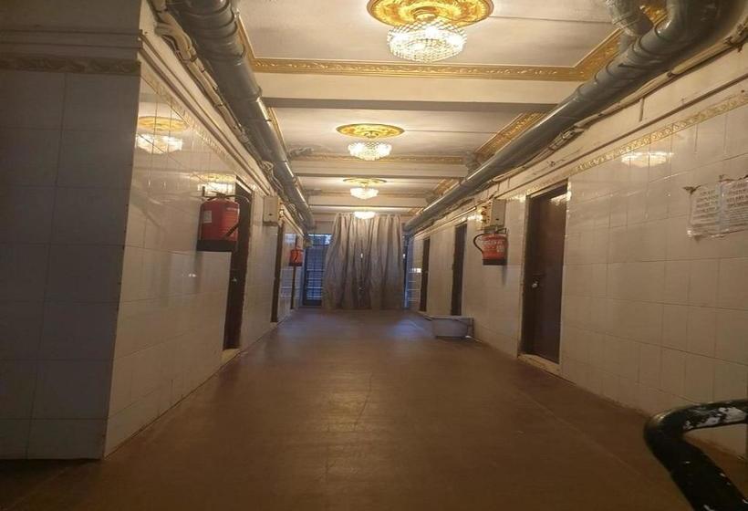 Hotel Metro Lodge Charminar