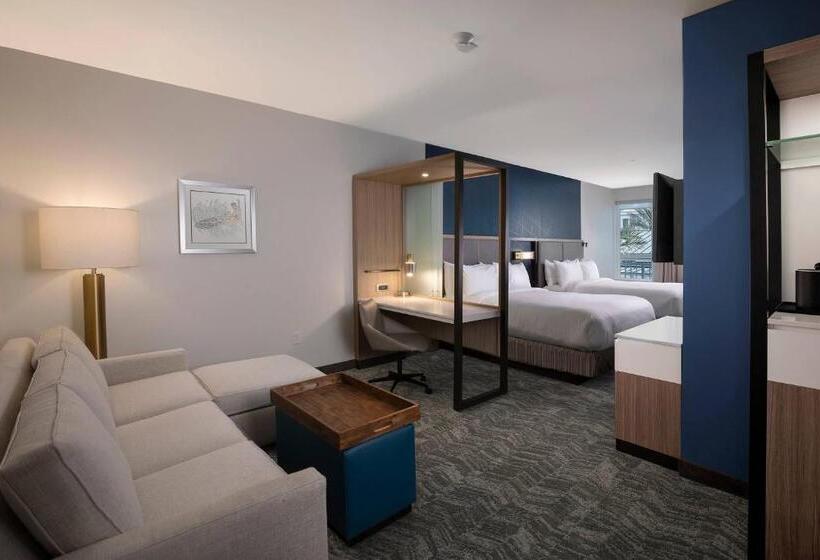 فندق Springhill Suites By Marriott Amelia Island