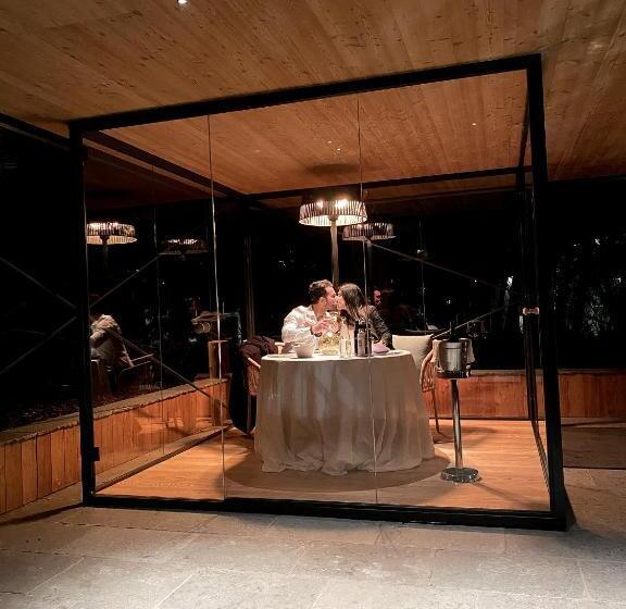 استراحتگاه Treelodgy, The Tree House