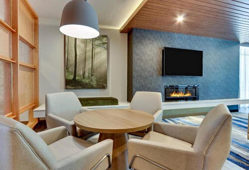 هتل Fairfield Inn & Suites By Marriott Dallas Love Field