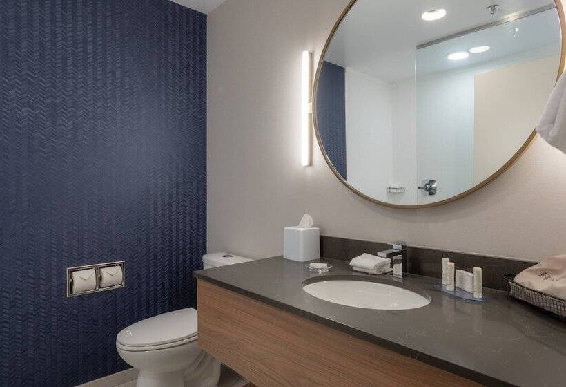 هتل Fairfield By Marriott Inn & Suites Revelstoke