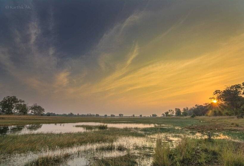 בית מלון כפרי Tadoba Jungle Camp