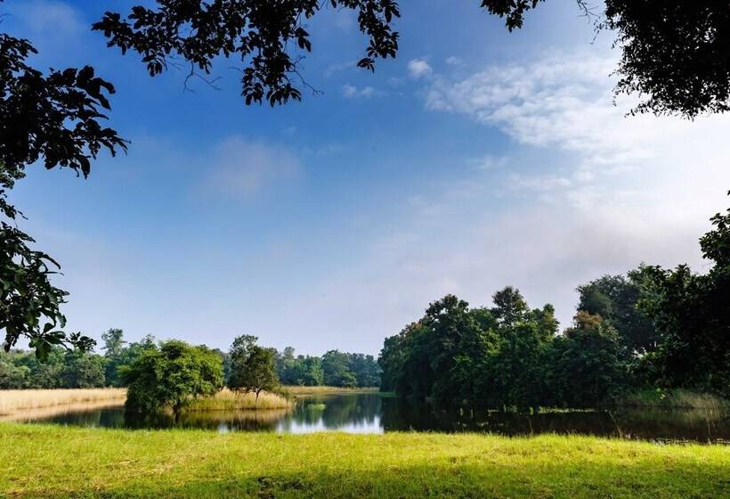 בית מלון כפרי Tadoba Jungle Camp