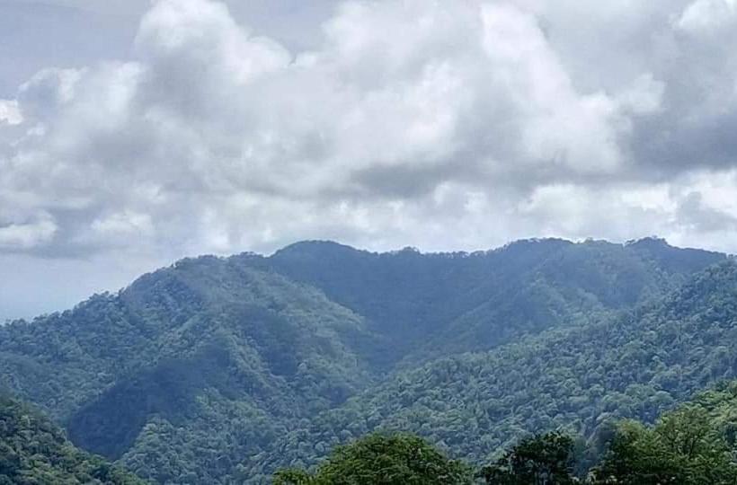 膳宿费 Valley View