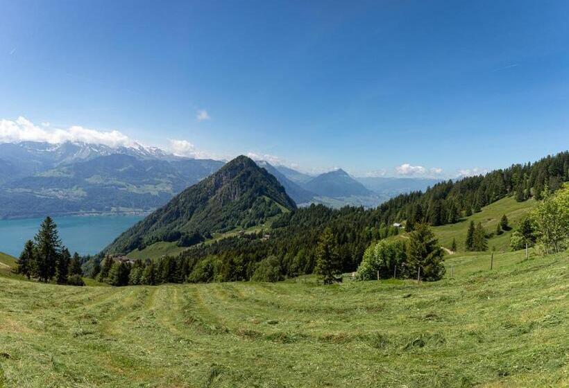 ユースホステル Berggasthaus Rigi Burggeist