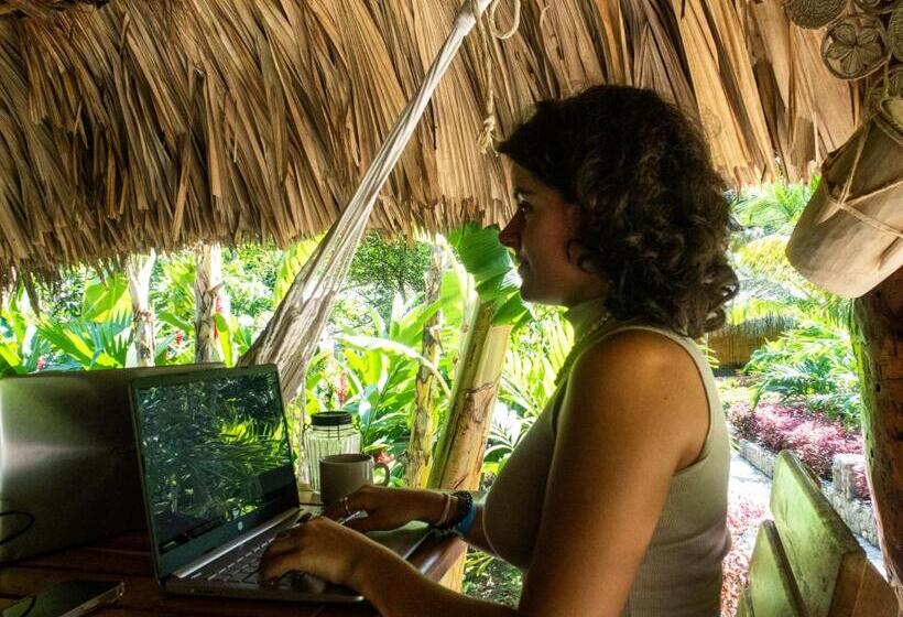 민박 Ecohabs Bamboo Parque Tayrona Dentro Del Pnn Tayrona