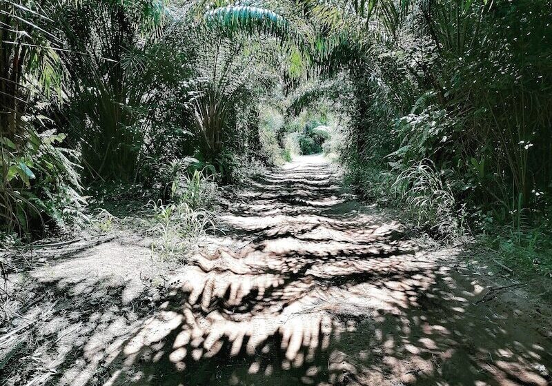 هتل Afro Beach Eco Resort Butre