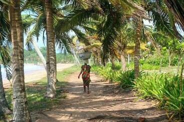هتل Afro Beach Eco Resort Butre