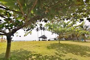 هتل Afro Beach Eco Resort Butre
