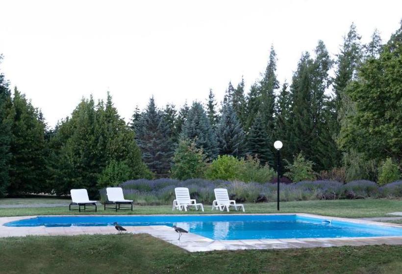 Linaje Hotel Boutique & Relax