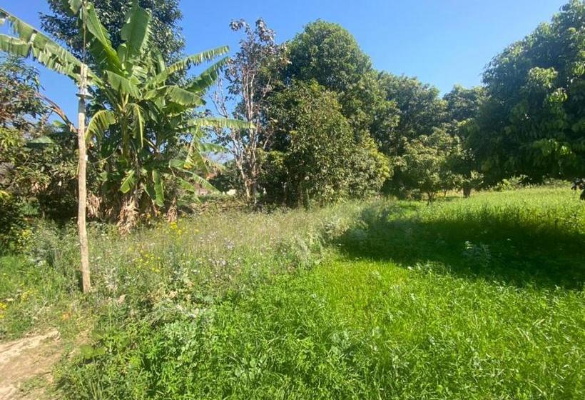 酒店 Lushy Days Boom Camp