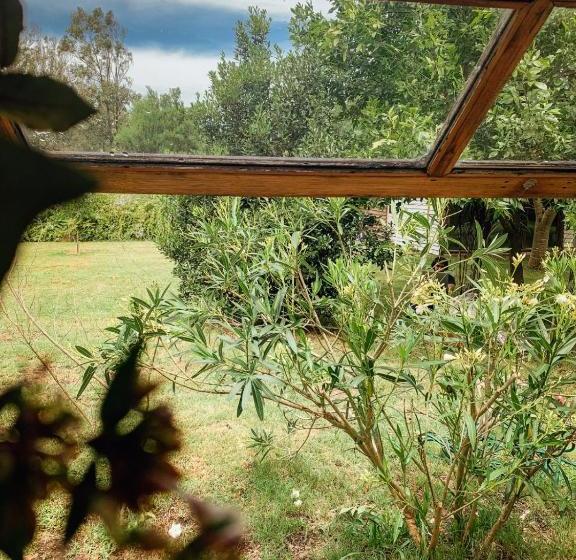 تختخواب و صبحانه Cálido Bungalow 1  La Locanda Casitas Vivas