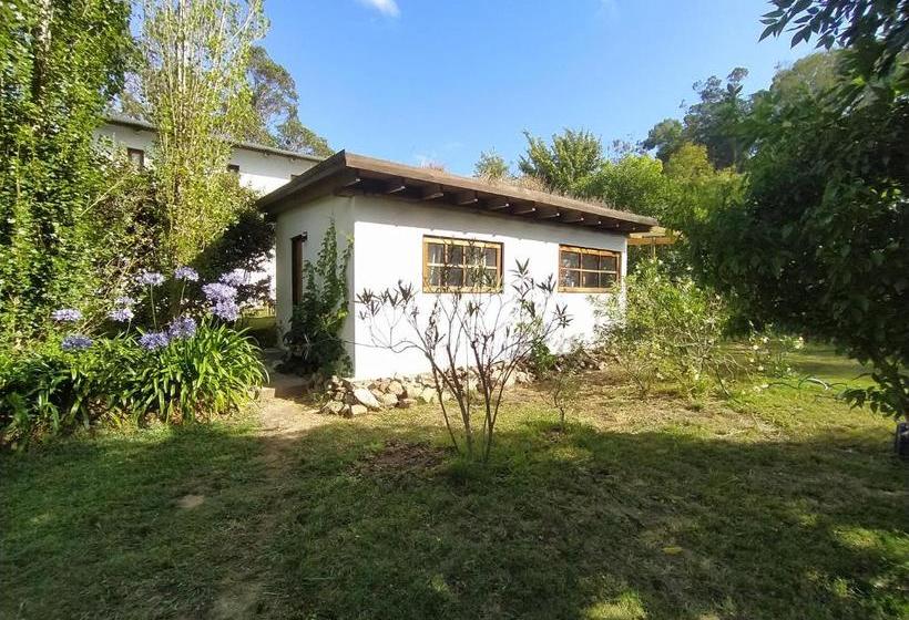 تختخواب و صبحانه Cálido Bungalow 1  La Locanda Casitas Vivas