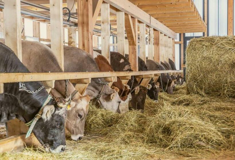 فندق Agritur Broch