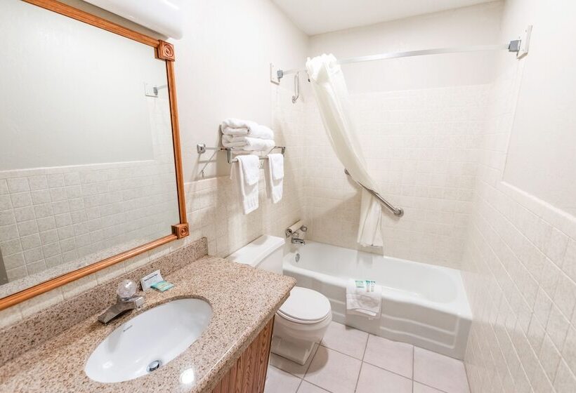 Eleven Boutique Hotel Llc