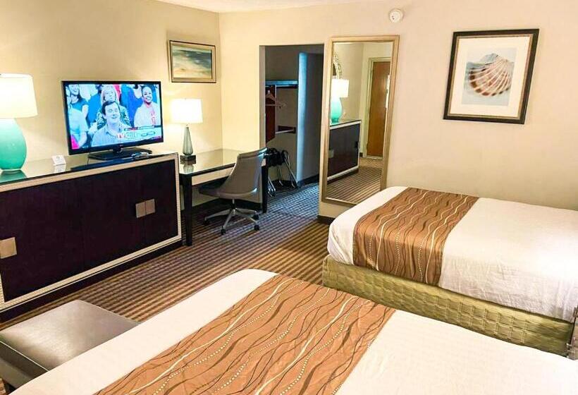 Eleven Boutique Hotel Llc