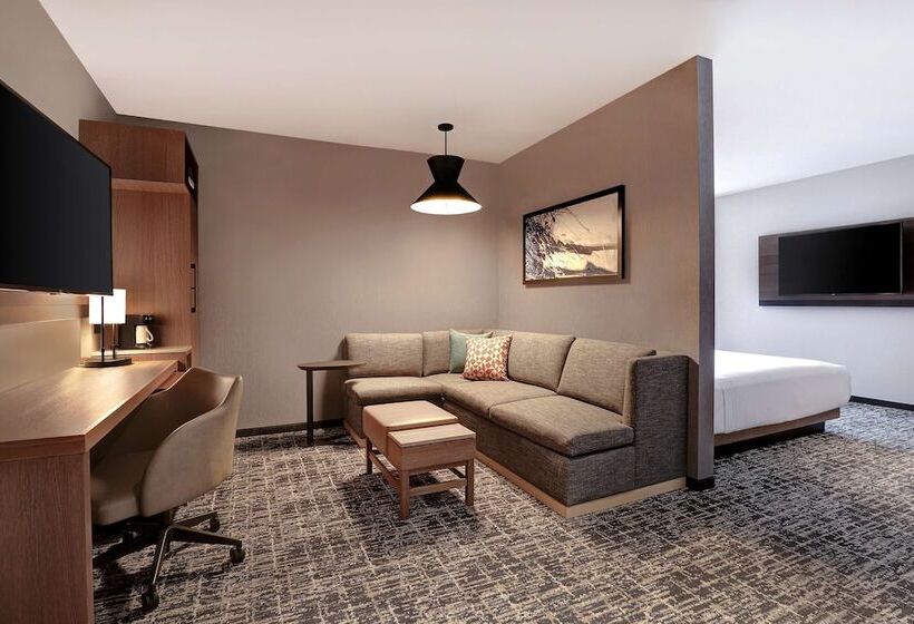 هتل Hyatt Place Ottawa West