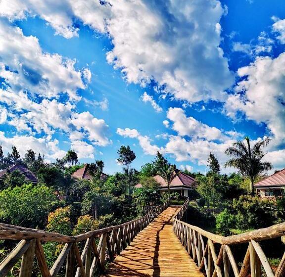 Отель Ngorongoro Marera Mountain View Lodge