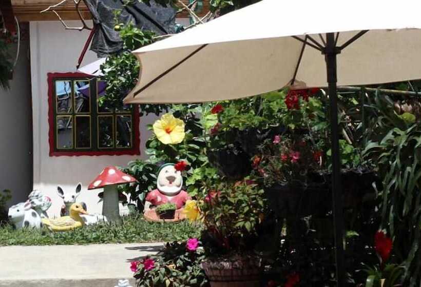 هاستل Aroma Cafetera