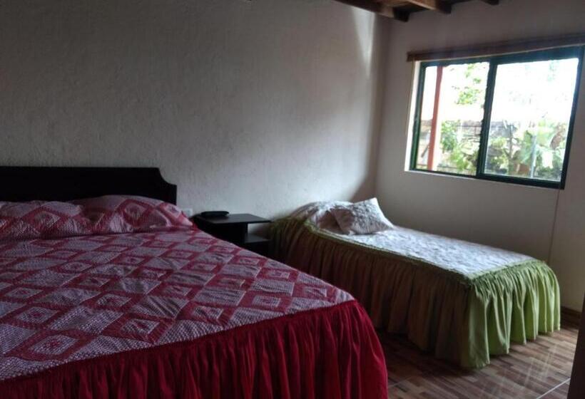 هاستل Aroma Cafetera