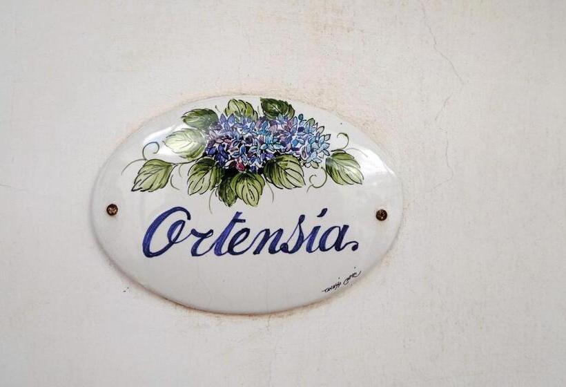 B&b Il Vicolo