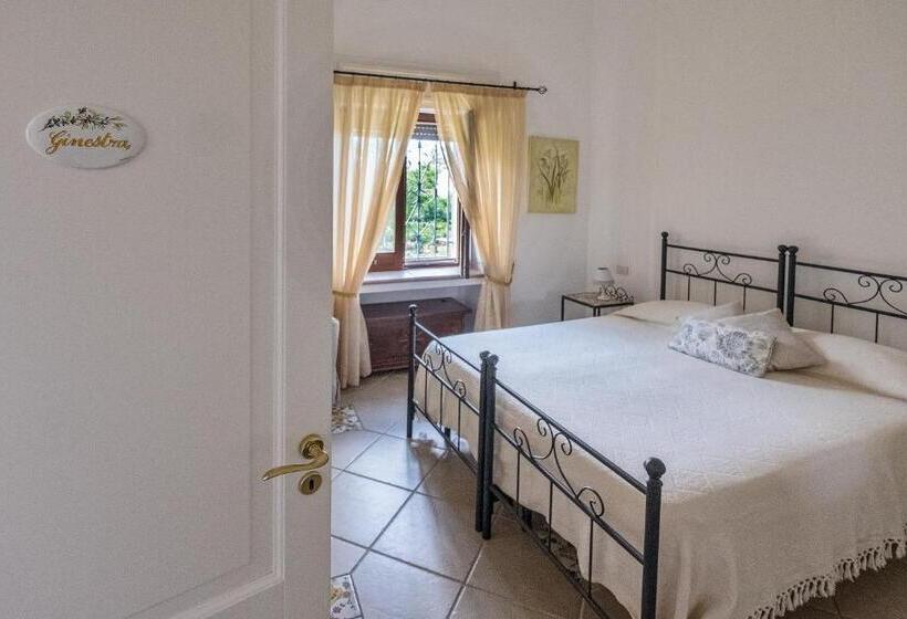 B&b Il Vicolo