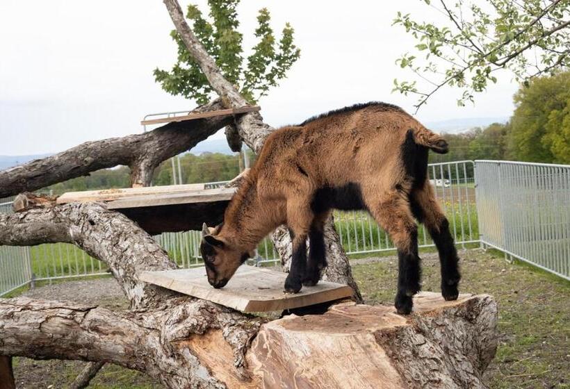 בית מלון כפרי Hof Tschannen