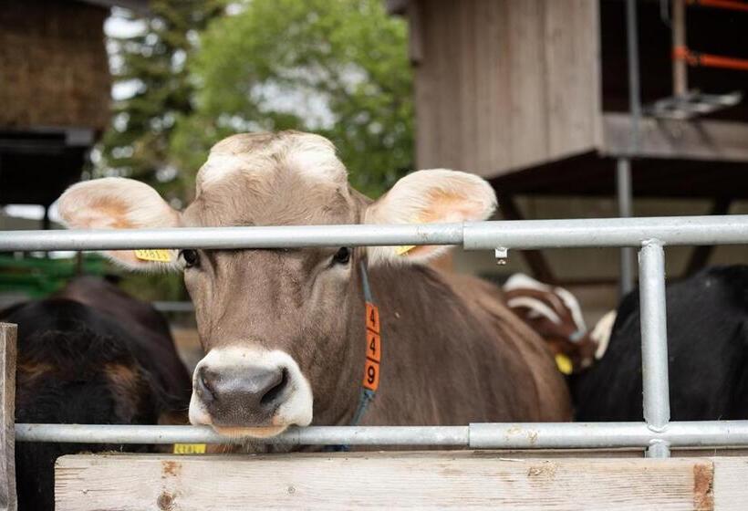 בית מלון כפרי Hof Tschannen