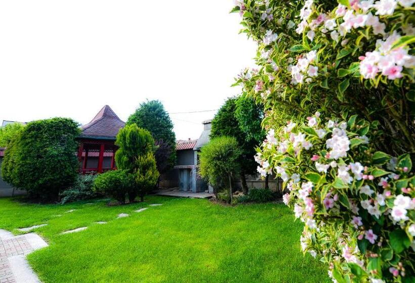 پانسیون Casa Mihai