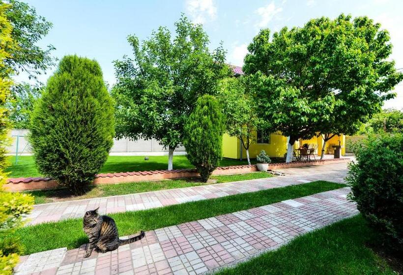 پانسیون Casa Mihai