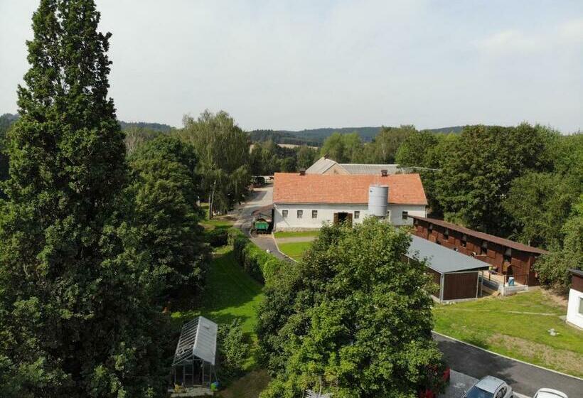 پانسیون Statek český Dvůr