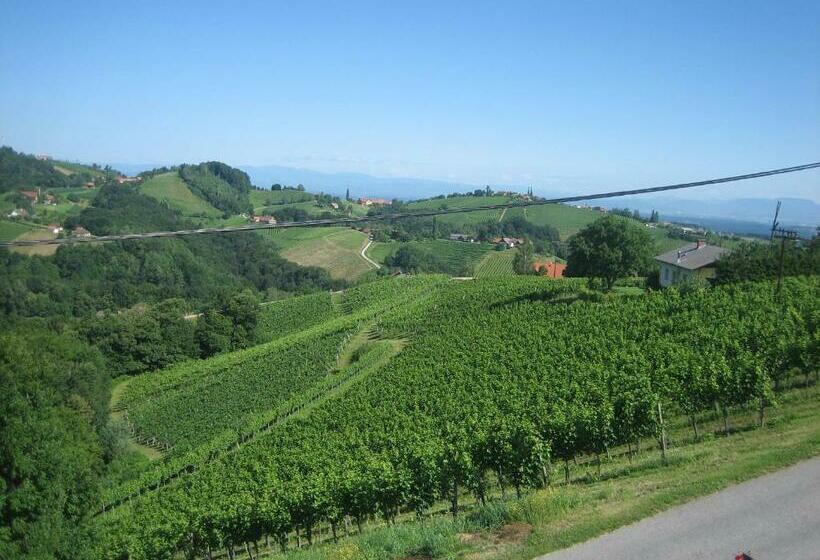 Пансион Weingut Lambauer