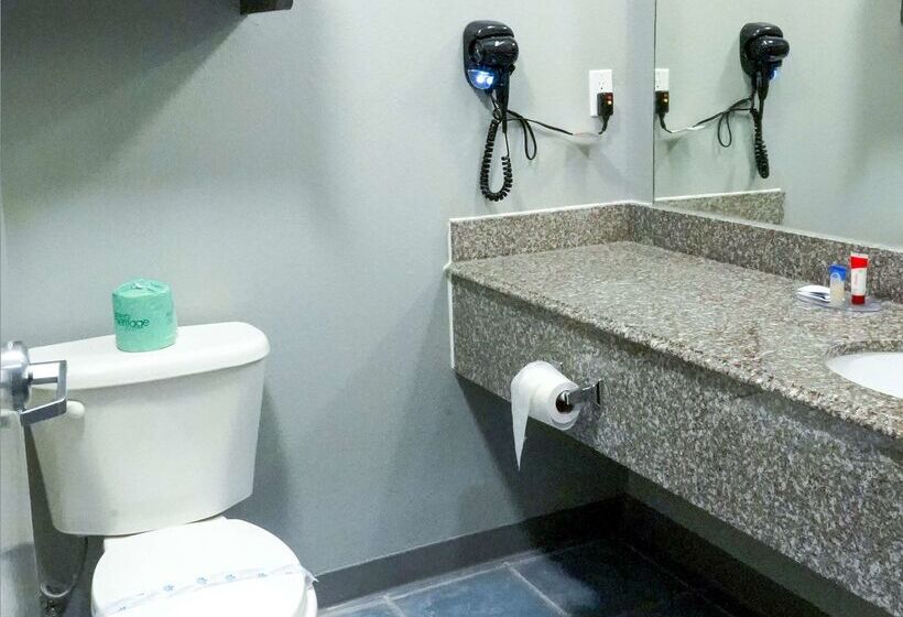 هتل Americas Best Value Inn And Suites Bush International Airport