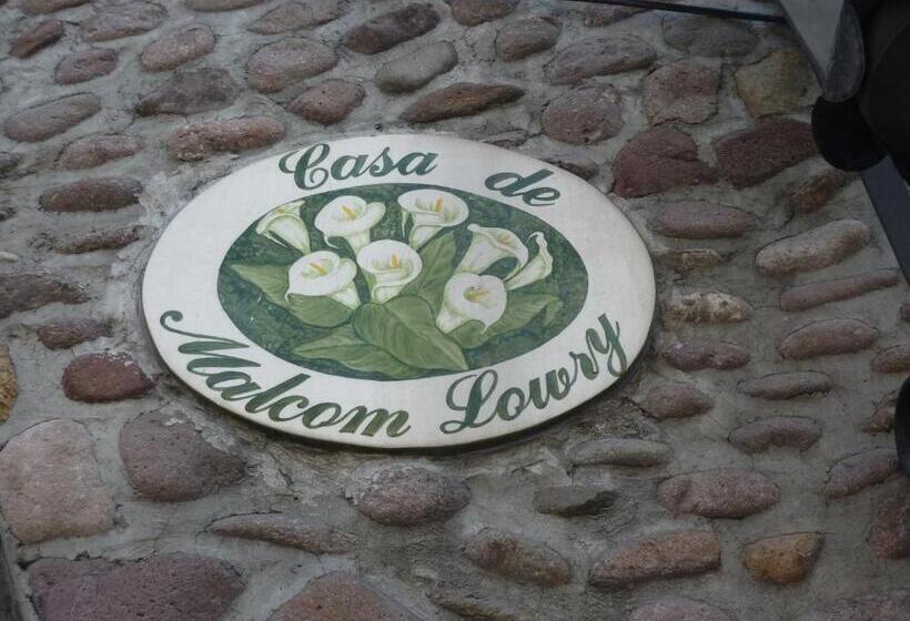 Fotos del hotel Bajo El Volcan:  14