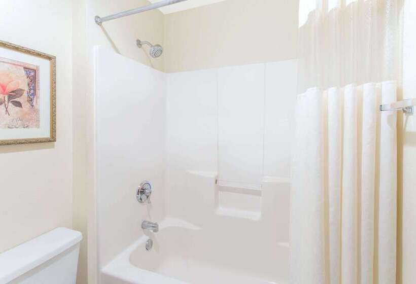 هتل Baymont By Wyndham Davenport