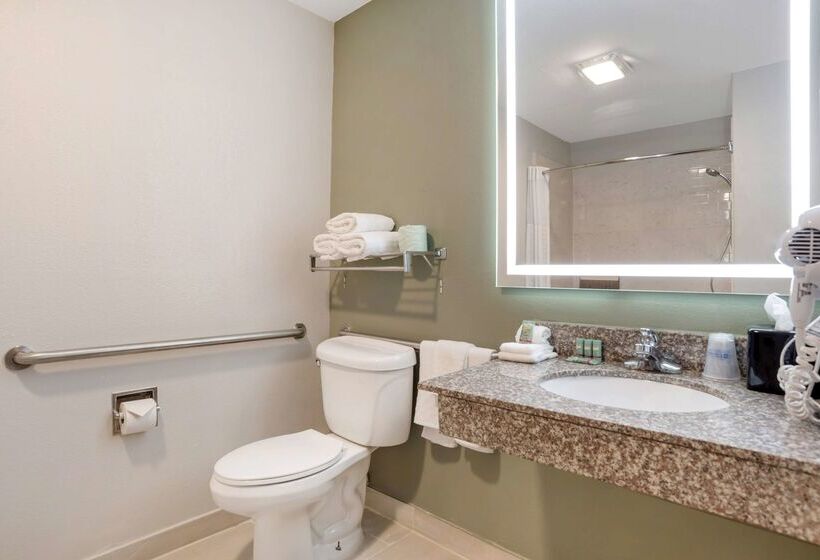 בית מלון כפרי Best Western Bayou Inn