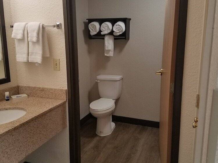 هتل Best Western Plus Newark/christiana Inn